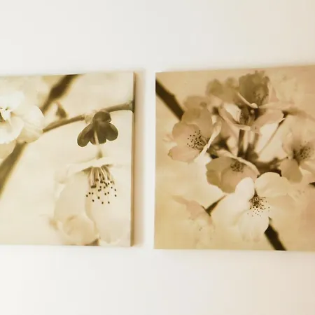 Dom wakacyjny Atlantic