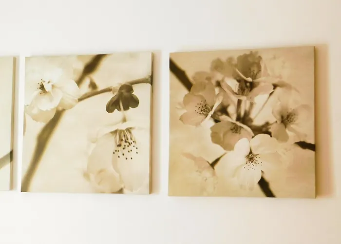 בית נופש Atlantic